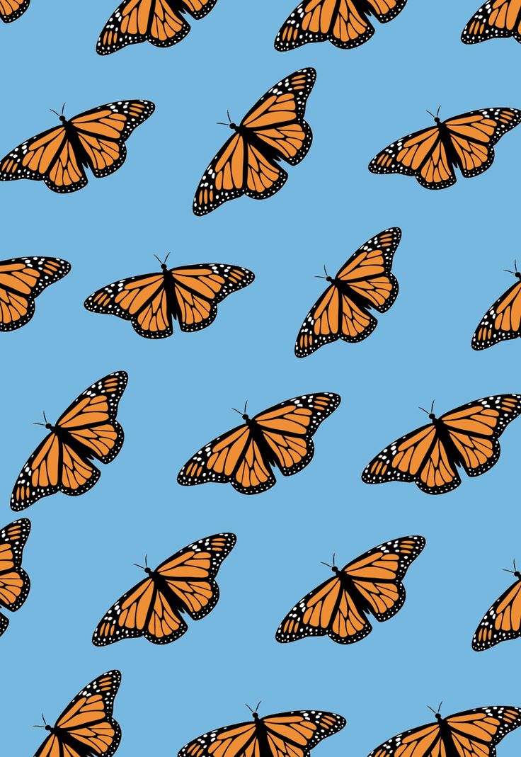 Aesthetic Orange Butterfly Wallpapers