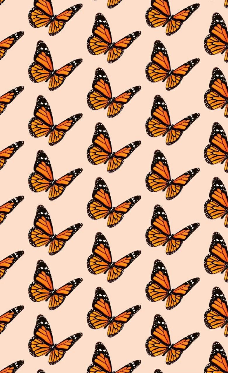 Aesthetic Orange Butterfly Wallpapers