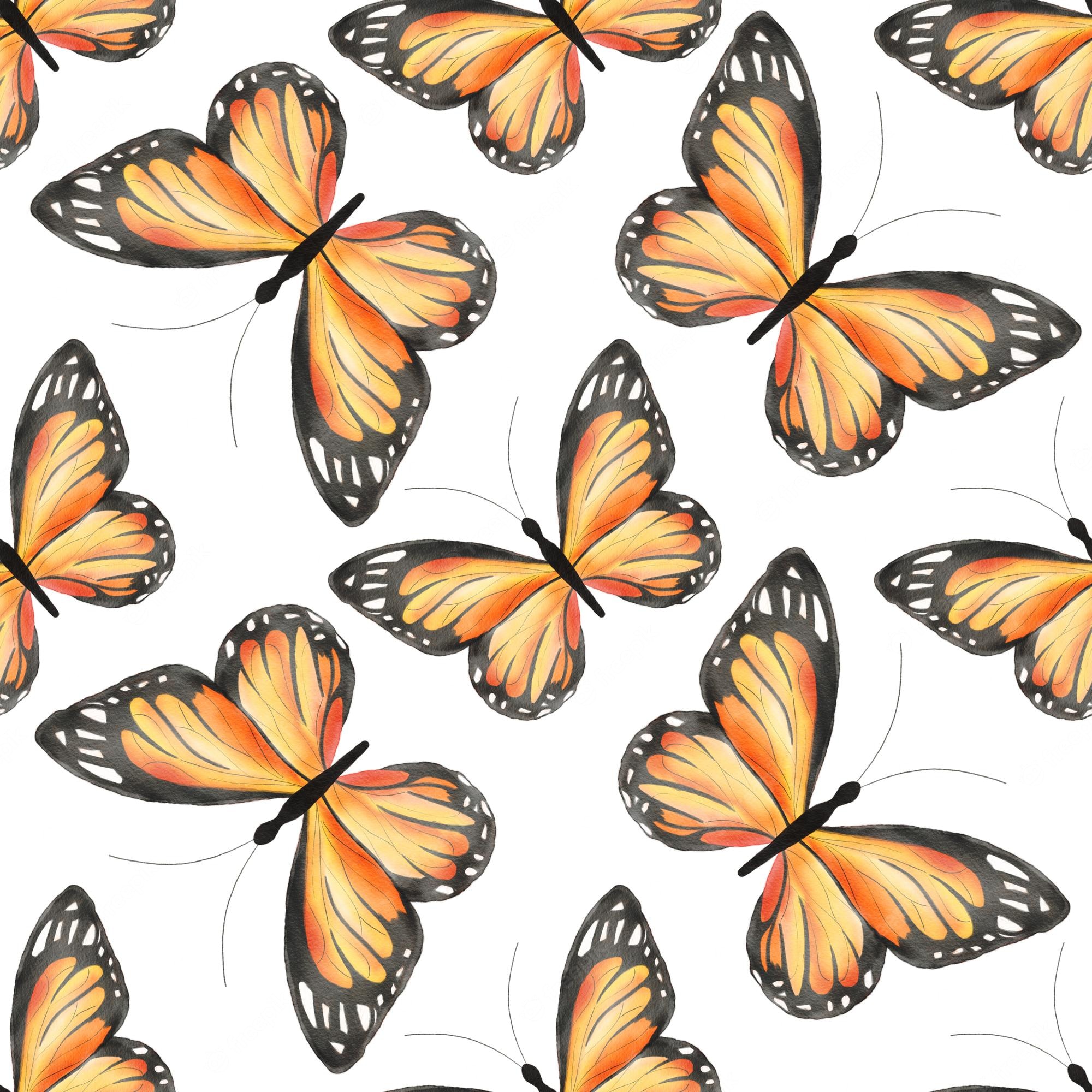 Aesthetic Orange Butterfly Wallpapers