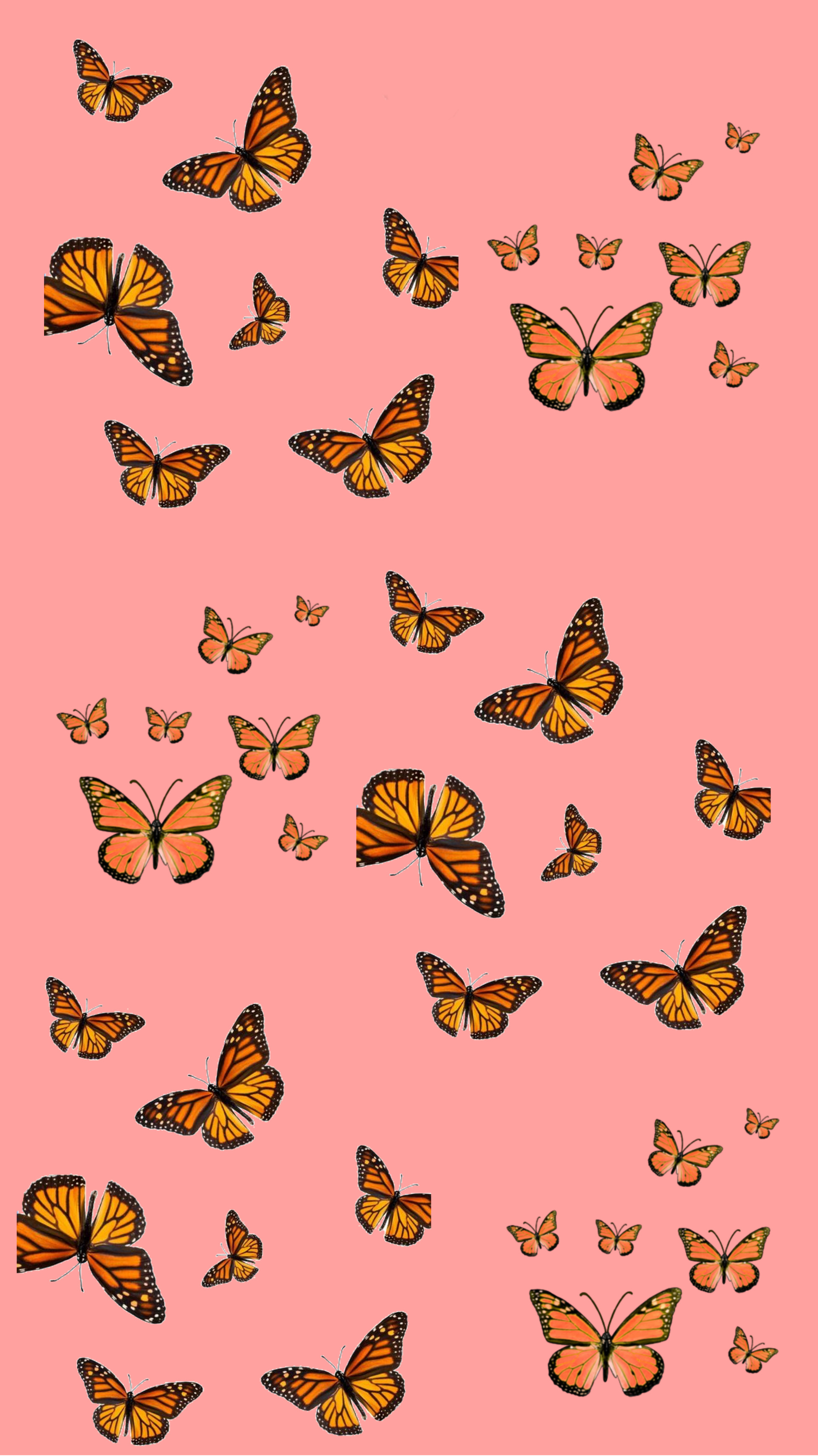 Aesthetic Orange Butterfly Wallpapers