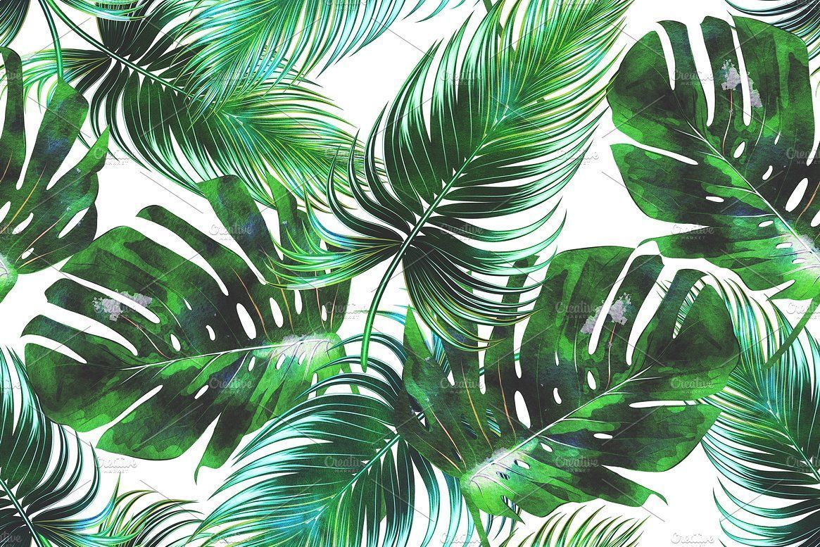 Aesthetic Palm Leaves Wallpapers