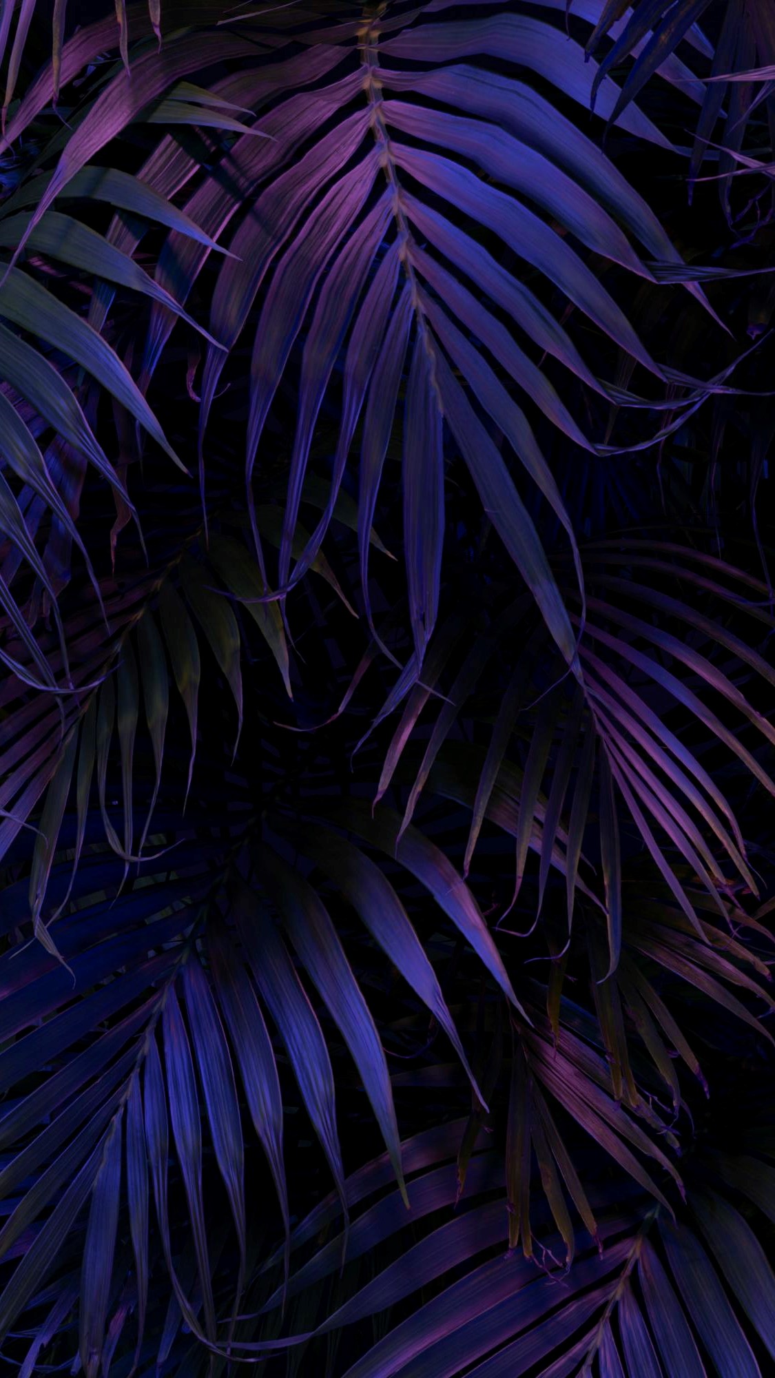 Aesthetic Palm Leaves Wallpapers