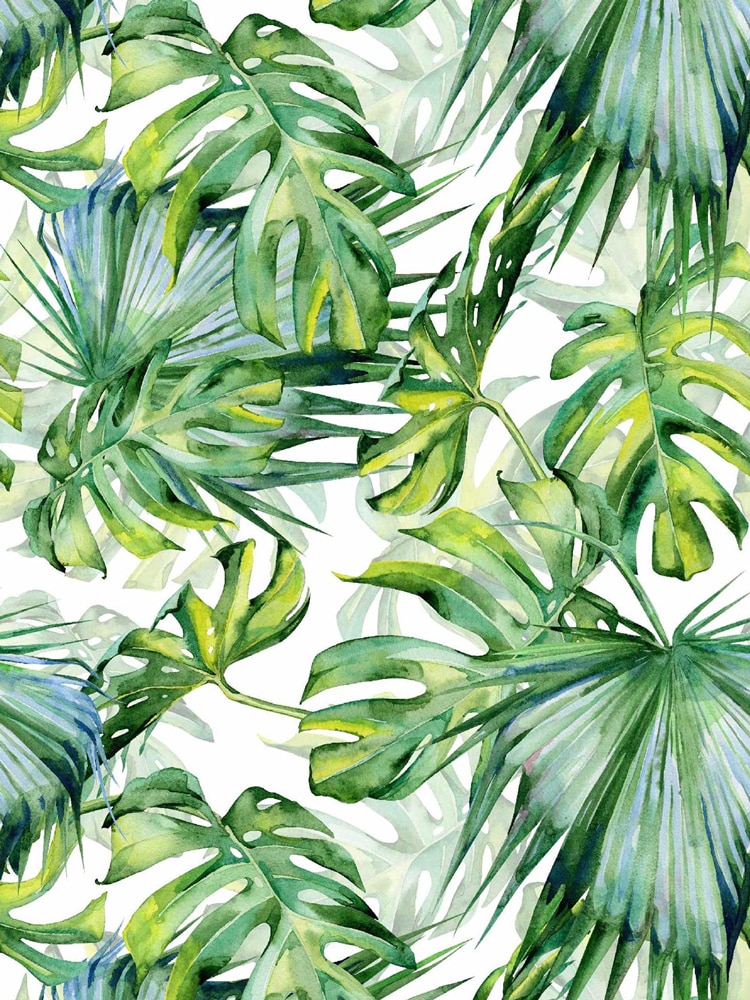Aesthetic Palm Leaves Wallpapers