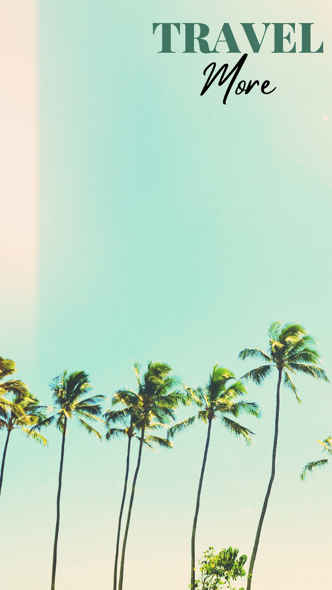 Aesthetic Palm Tree Phone Wallpapers