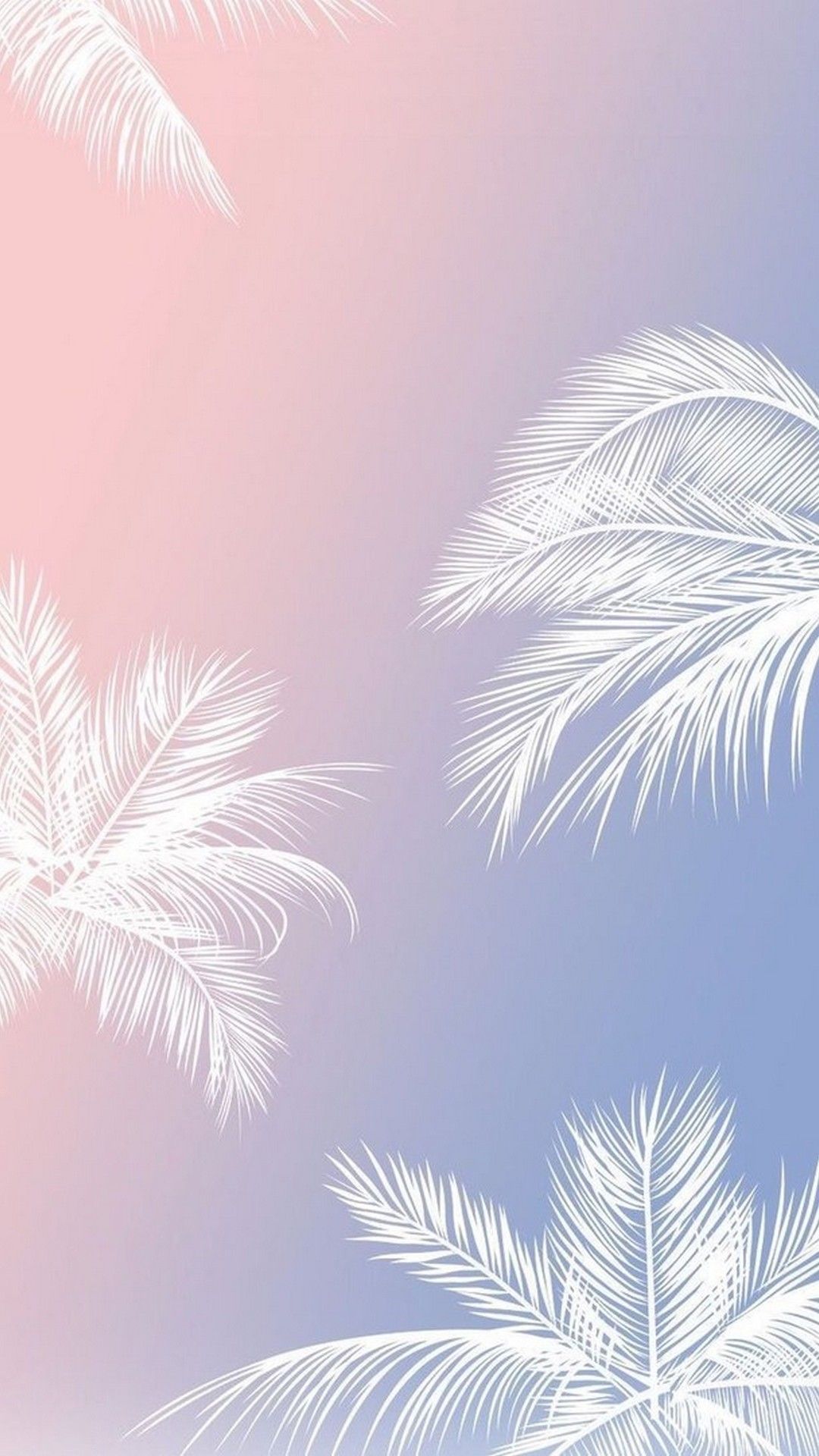 Aesthetic Palm Trees Wallpapers