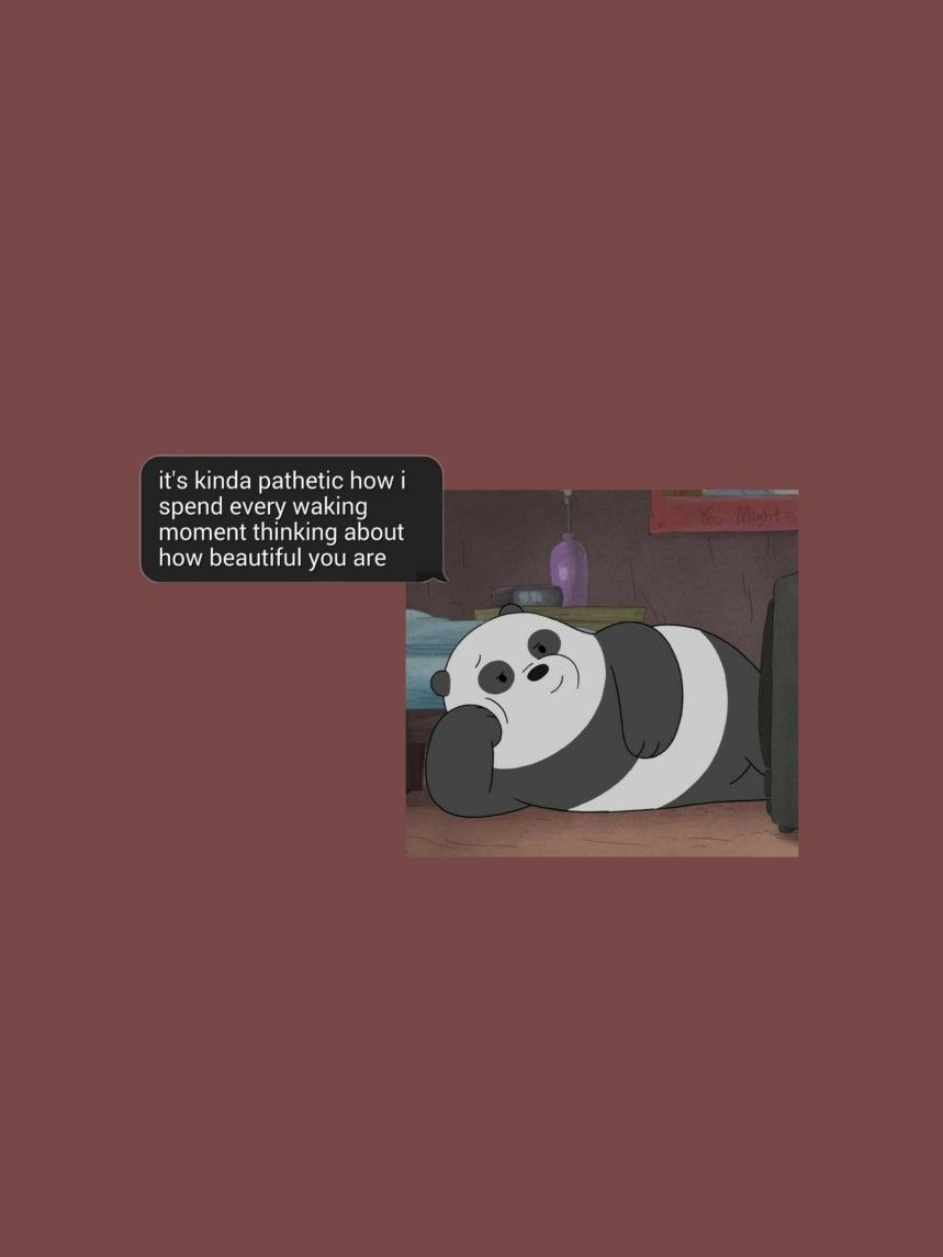 Aesthetic Panda Wallpapers