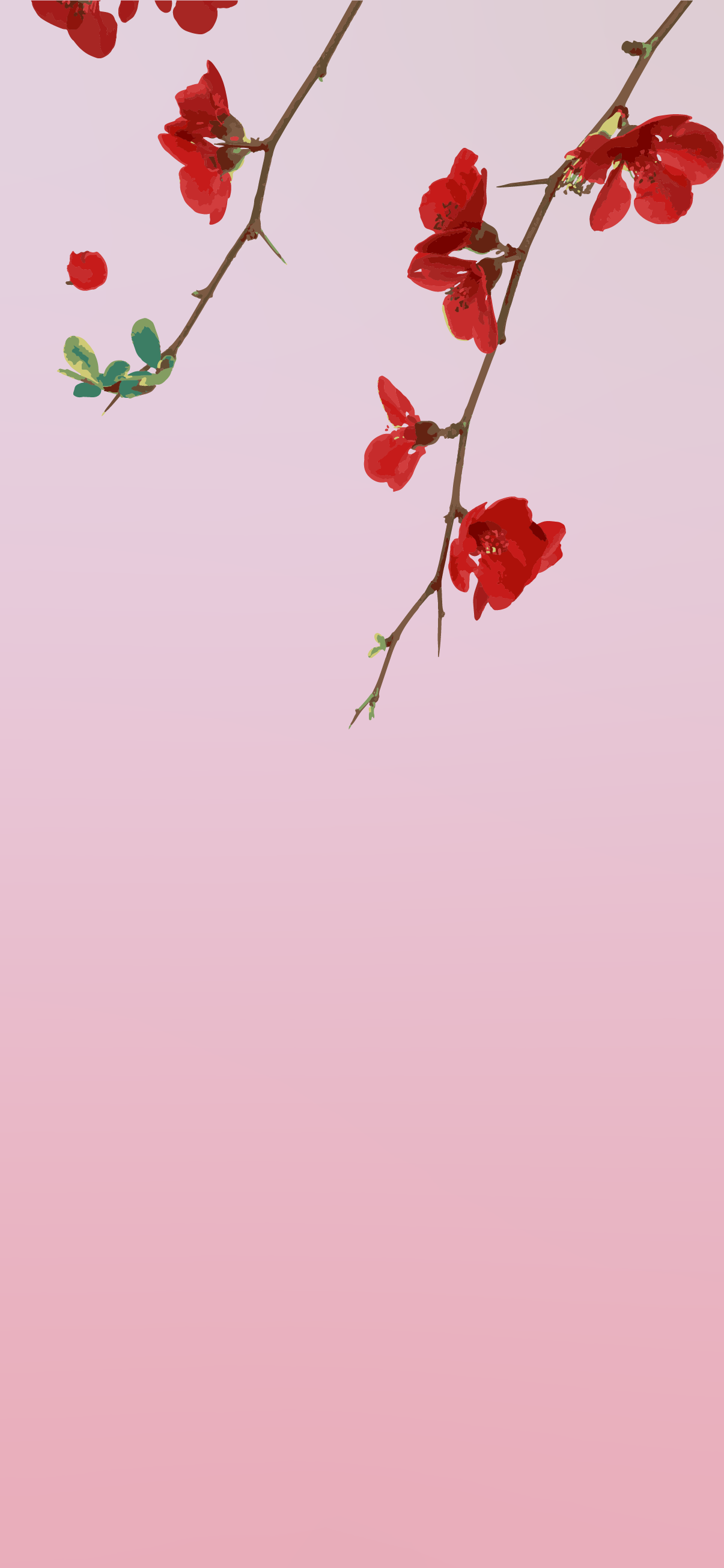 Aesthetic Phone Japanese Wallpapers