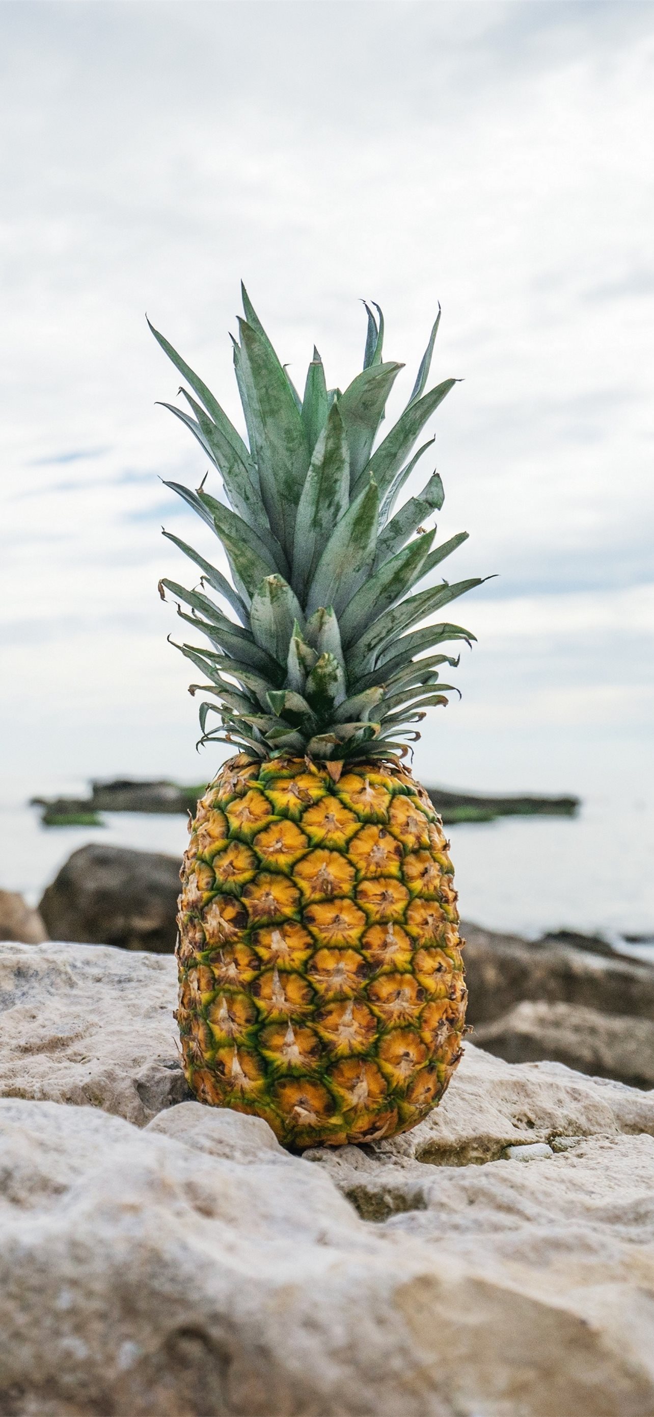 Aesthetic Pineapple Wallpapers