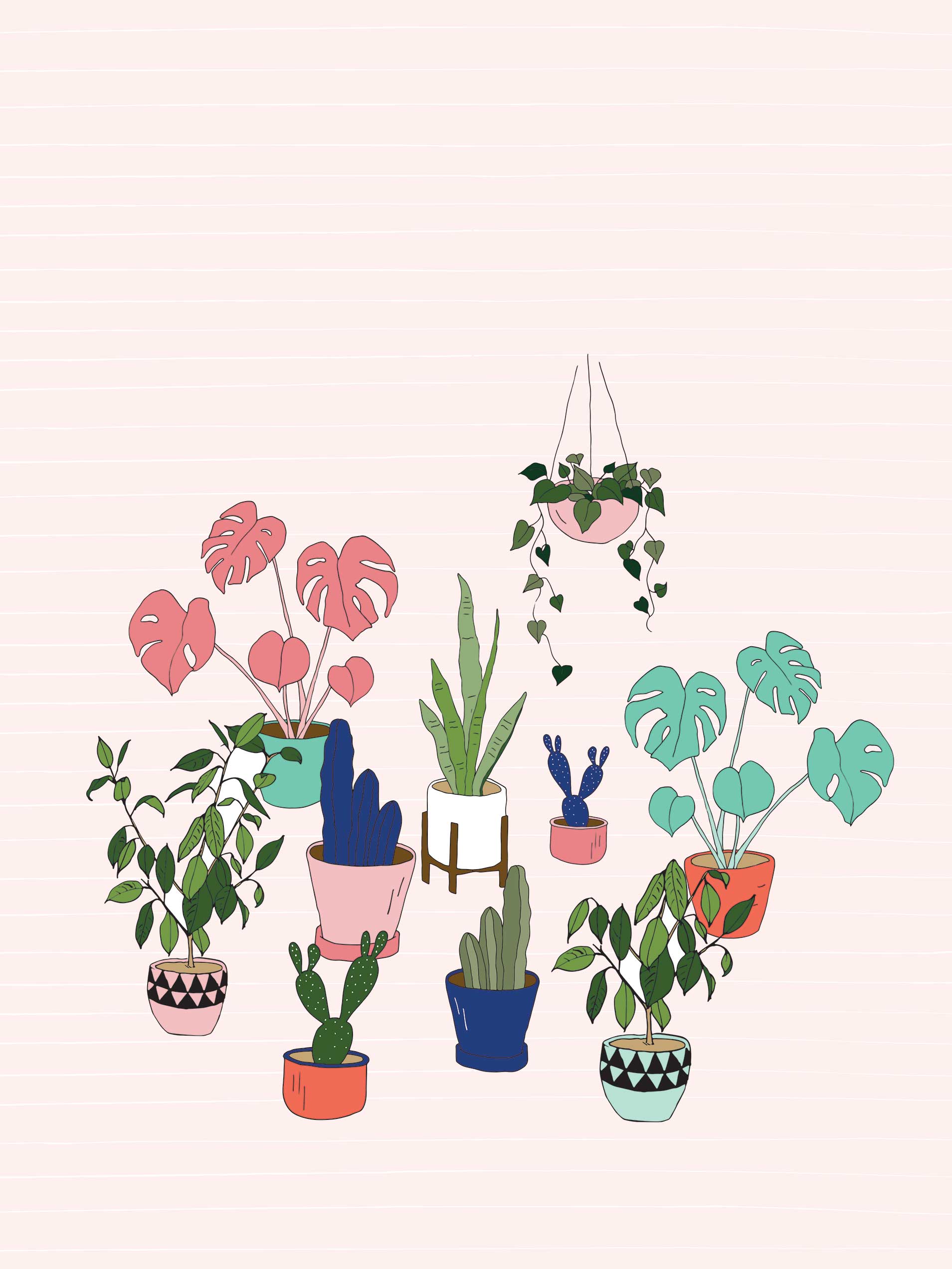 Aesthetic Plant Wallpapers