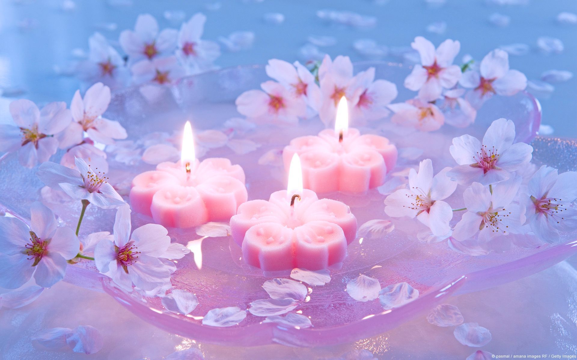 Aesthetic Purple Candles Wallpapers