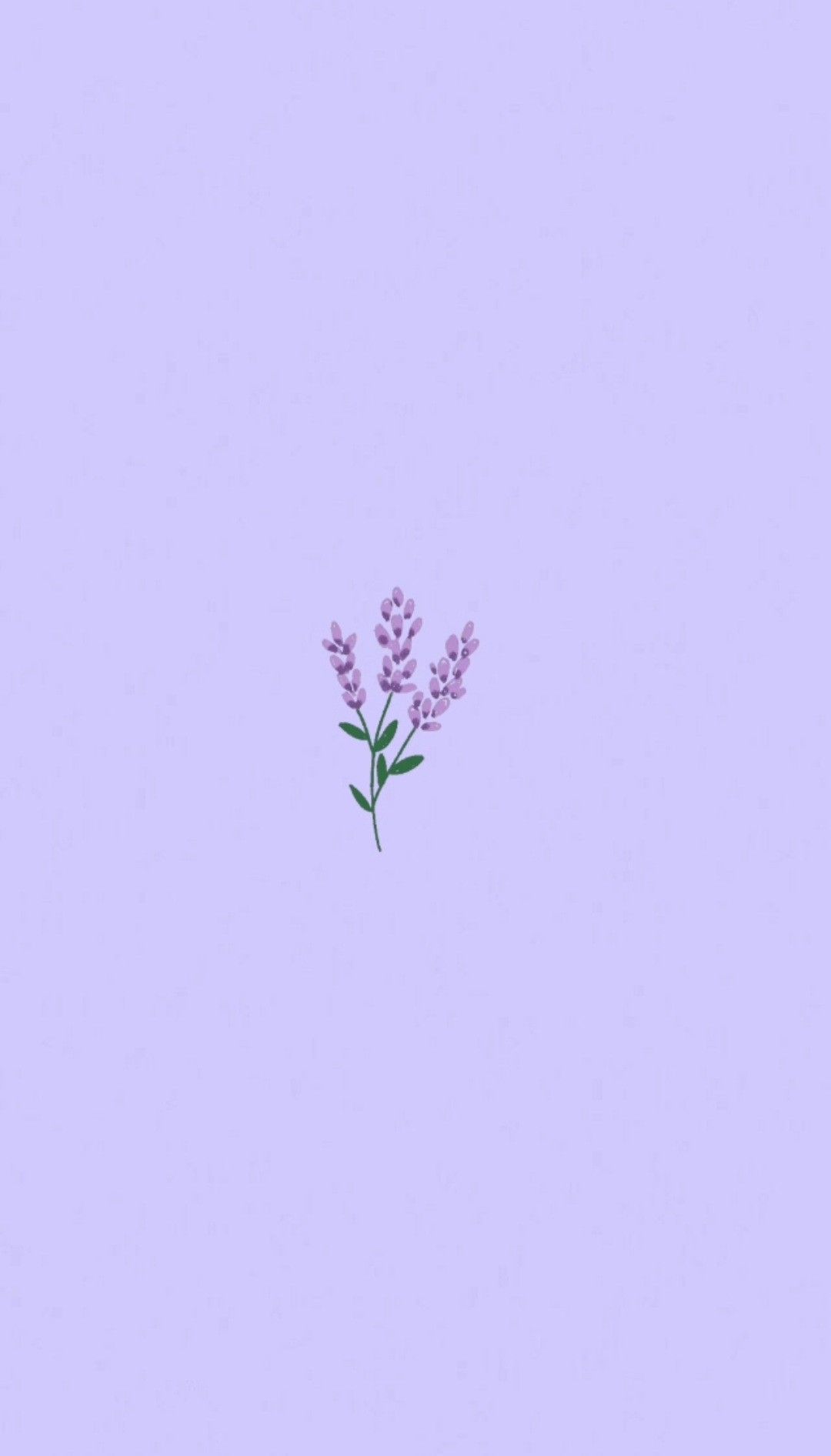 Aesthetic Purple Flower Wallpapers