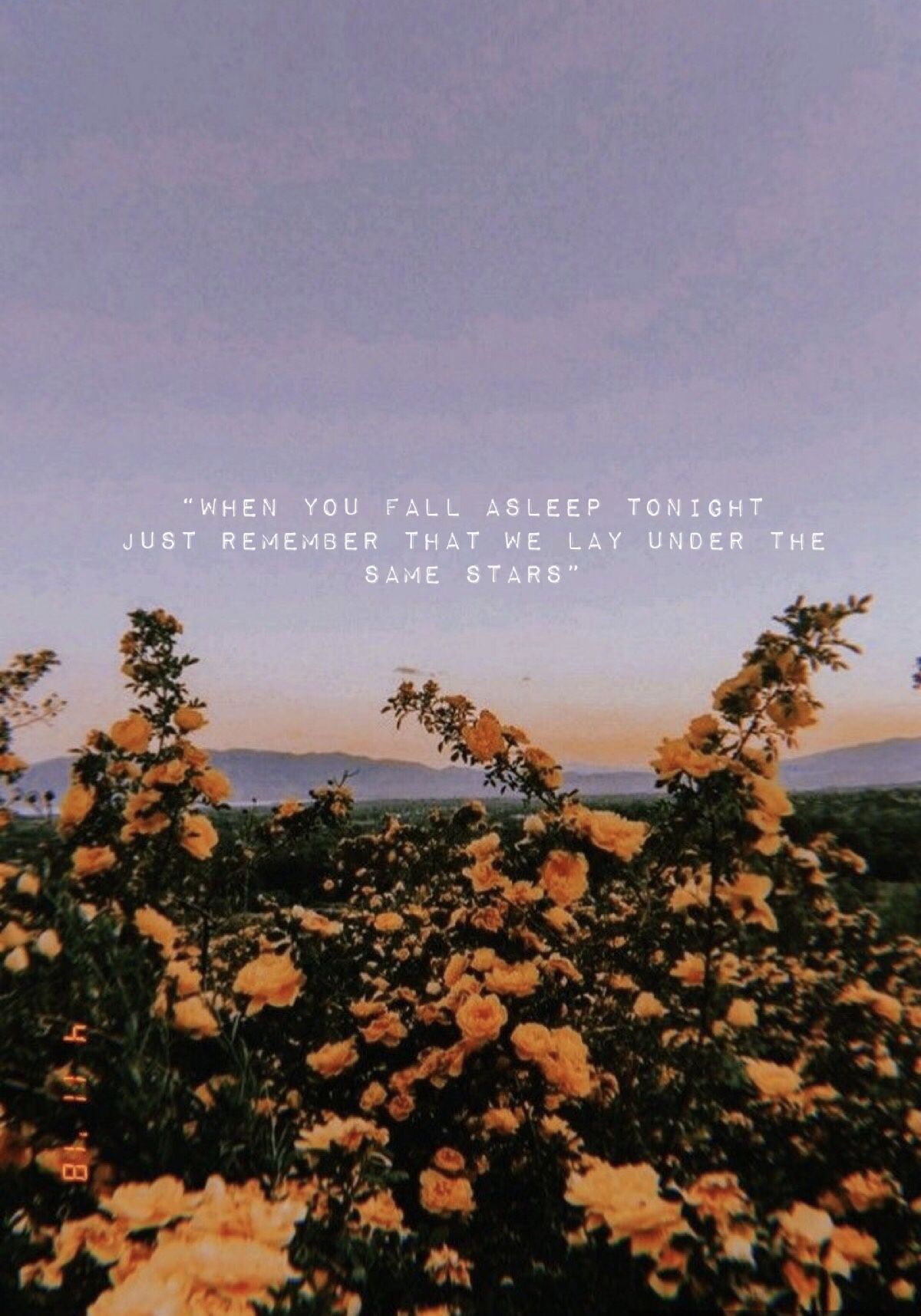 Aesthetic Quotes Tumblr Wallpapers