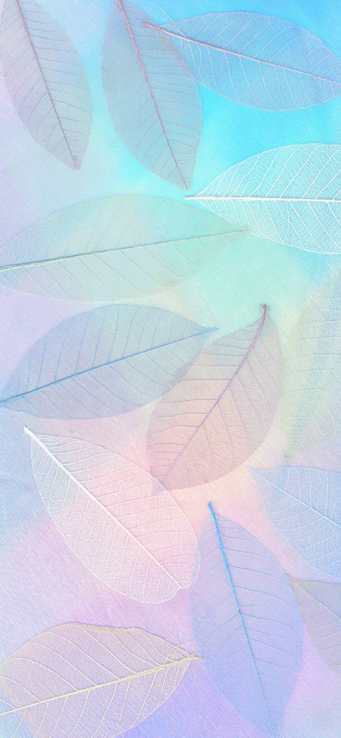 Aesthetic Rainbow Mobile Wallpapers