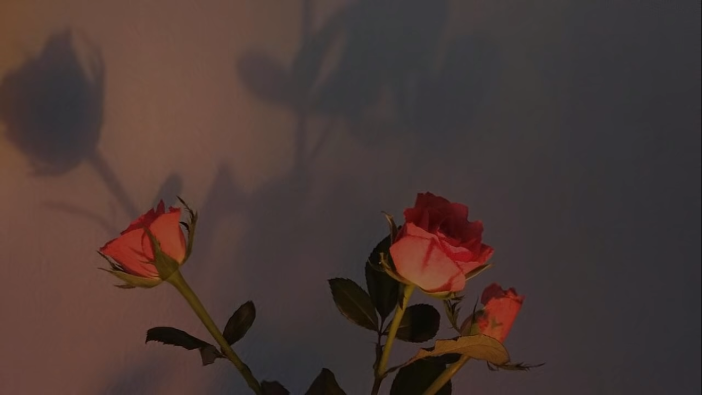 Aesthetic Rose Computer Wallpapers