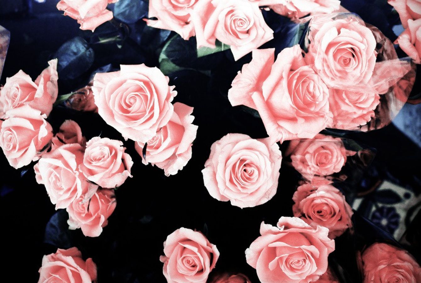 Aesthetic Rose Computer Wallpapers