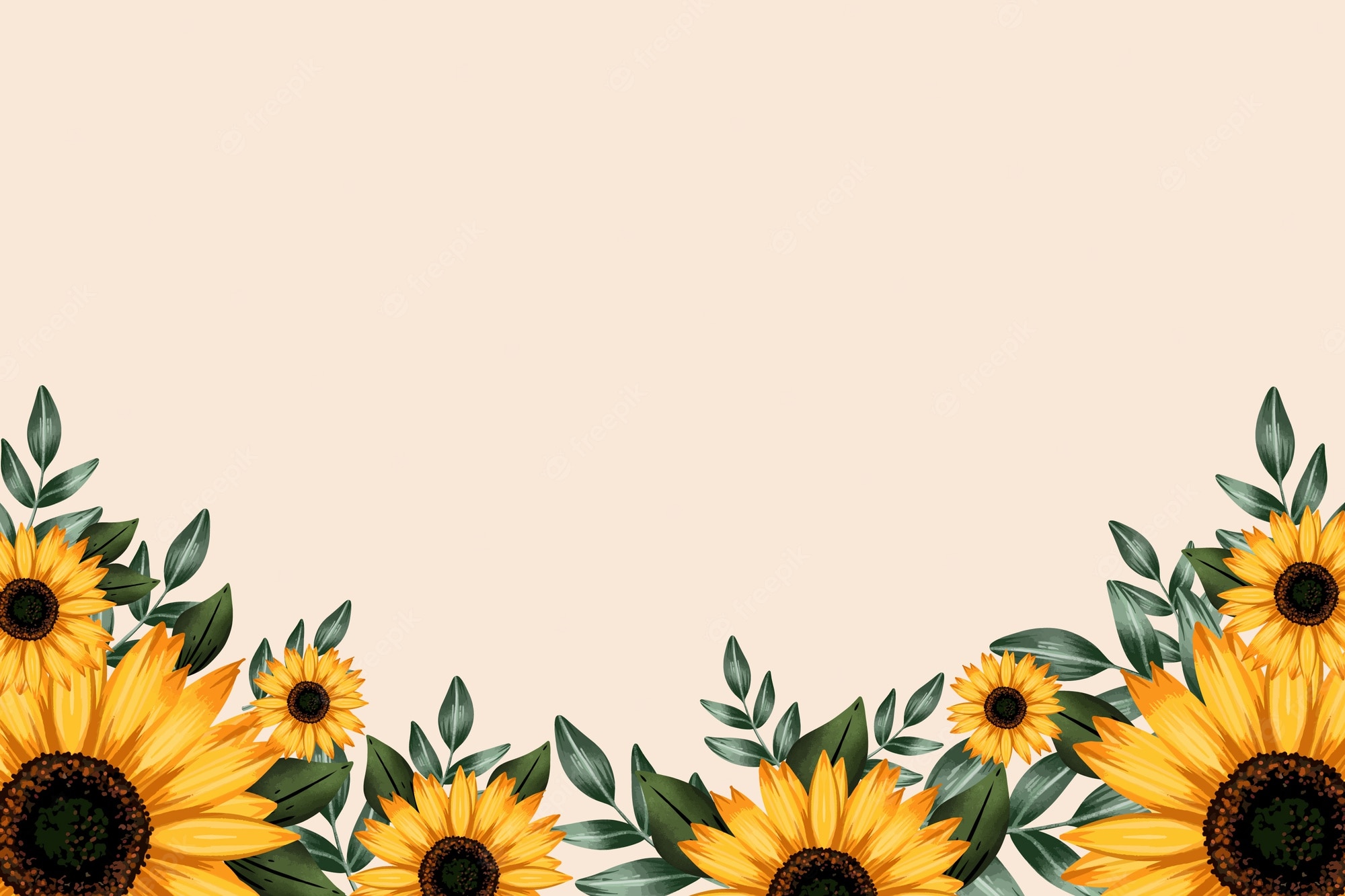 Aesthetic Roses And Sunflowers Wallpapers