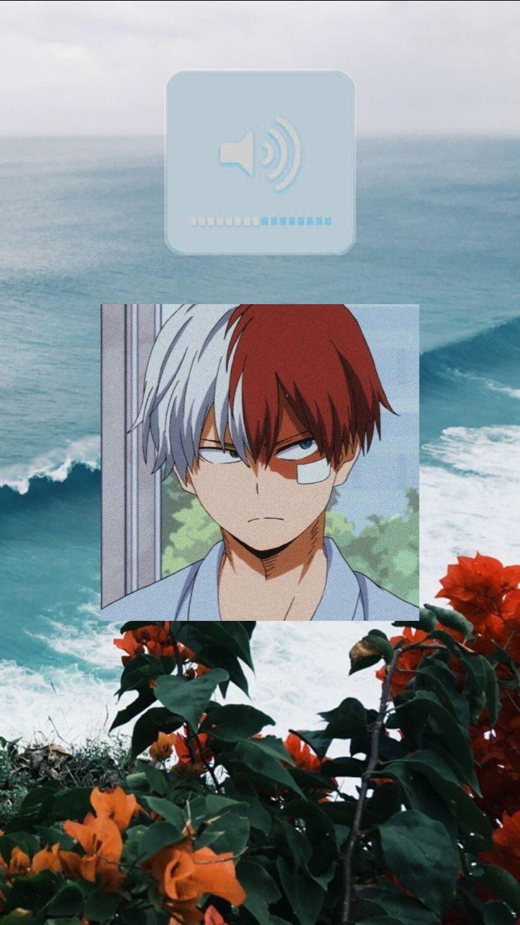 Aesthetic Shoto Wallpapers