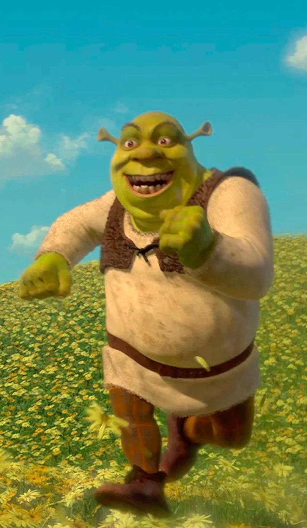 Aesthetic Shrek Wallpapers