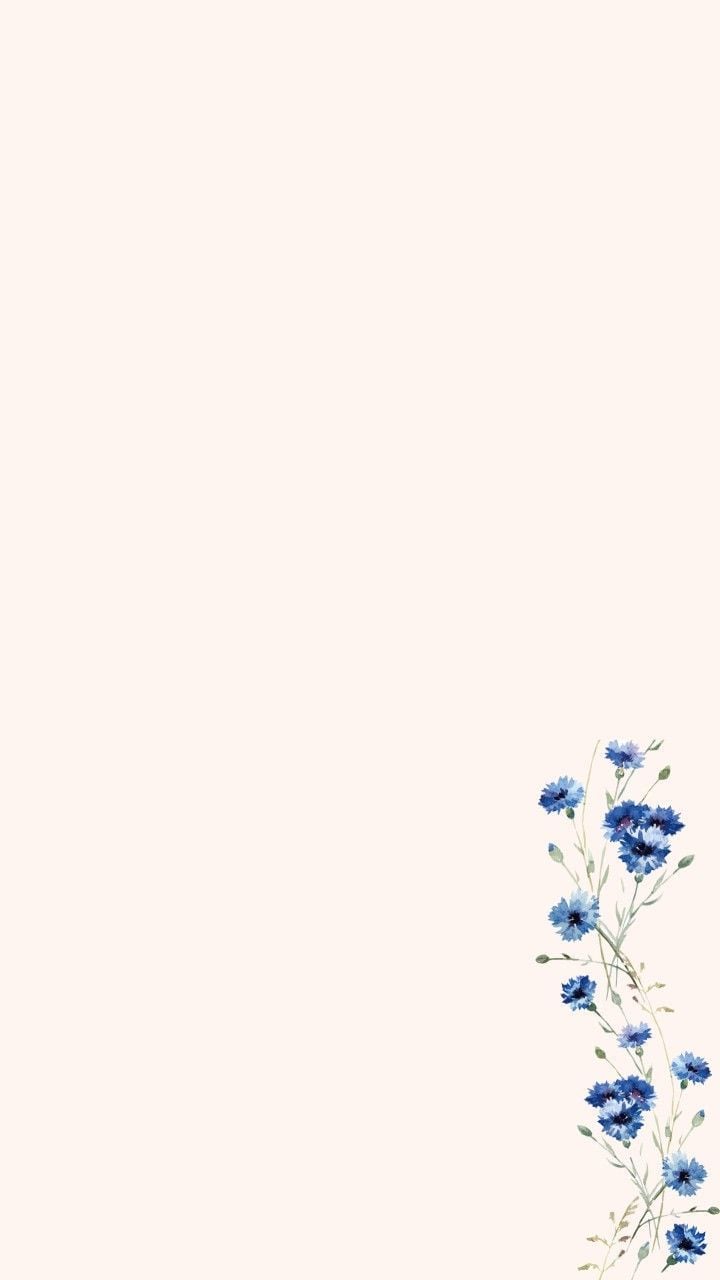 Aesthetic Simple Wallpapers