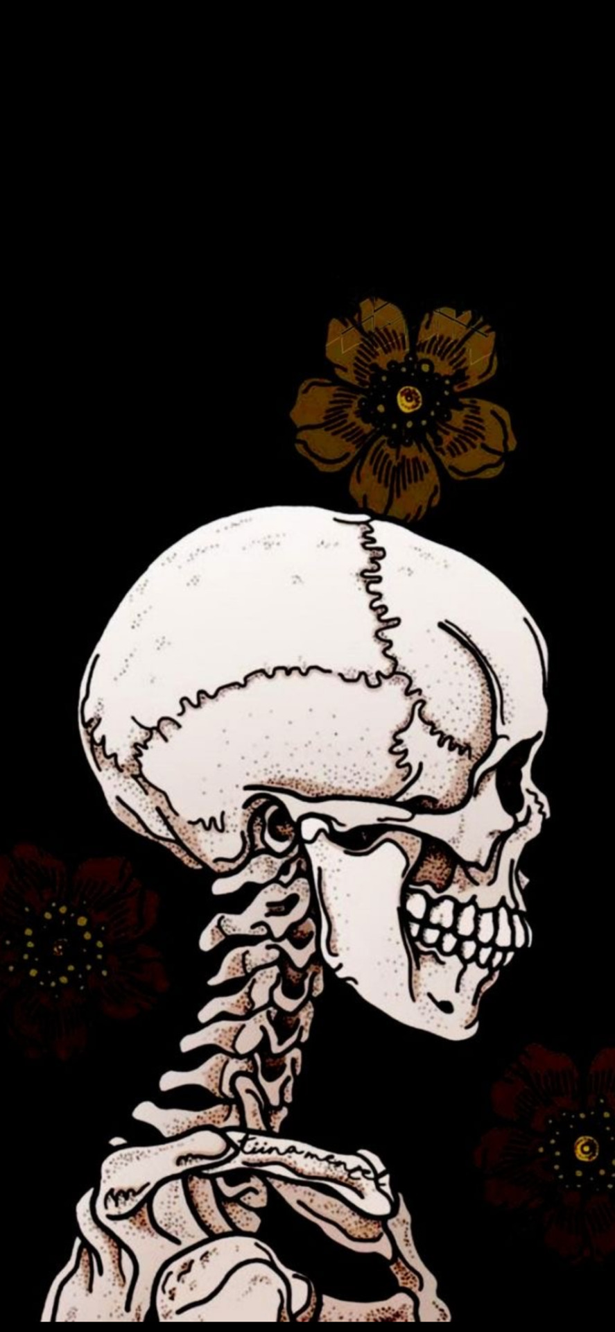 Aesthetic Skeleton Wallpapers