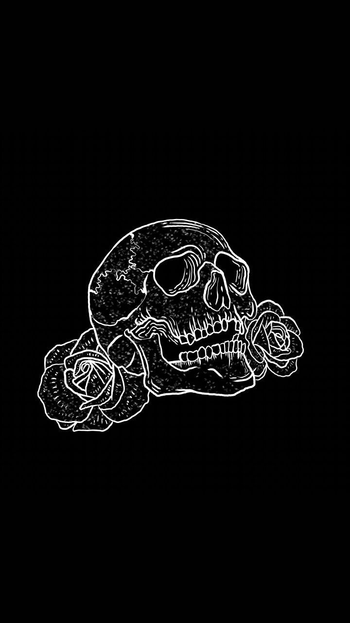 Aesthetic Skull Wallpapers