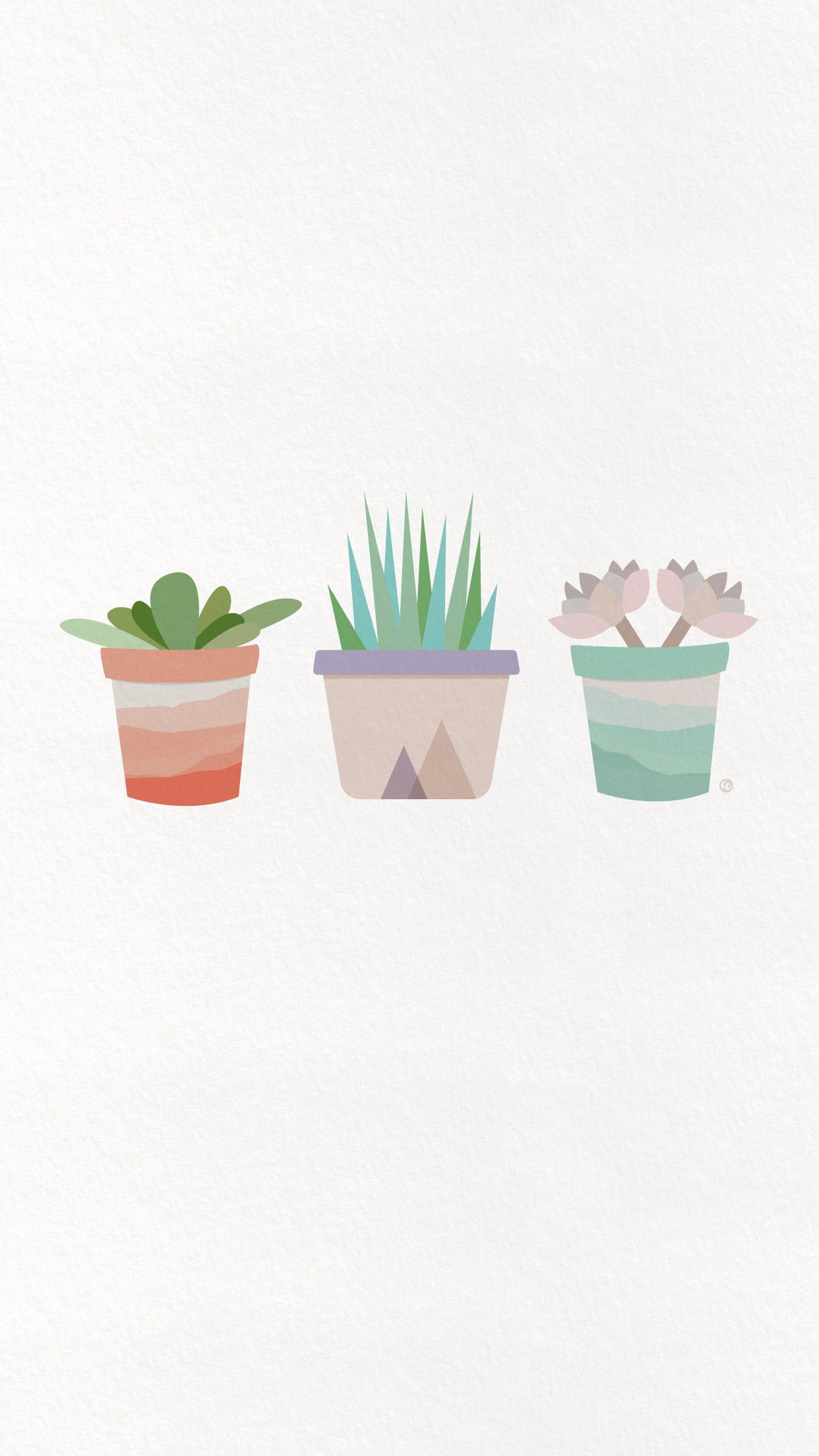 Aesthetic Succulents Wallpapers