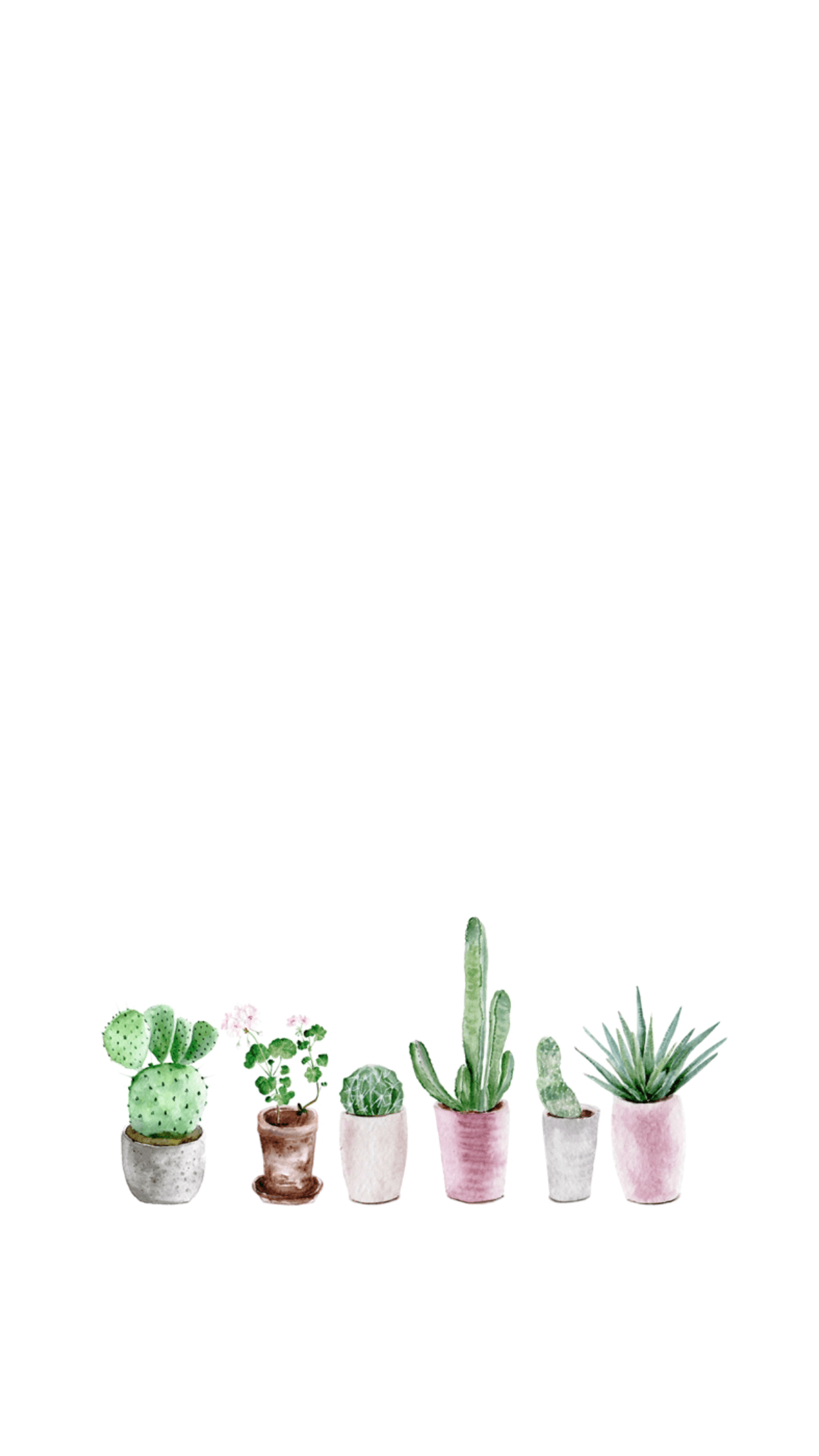 Aesthetic Succulents Wallpapers