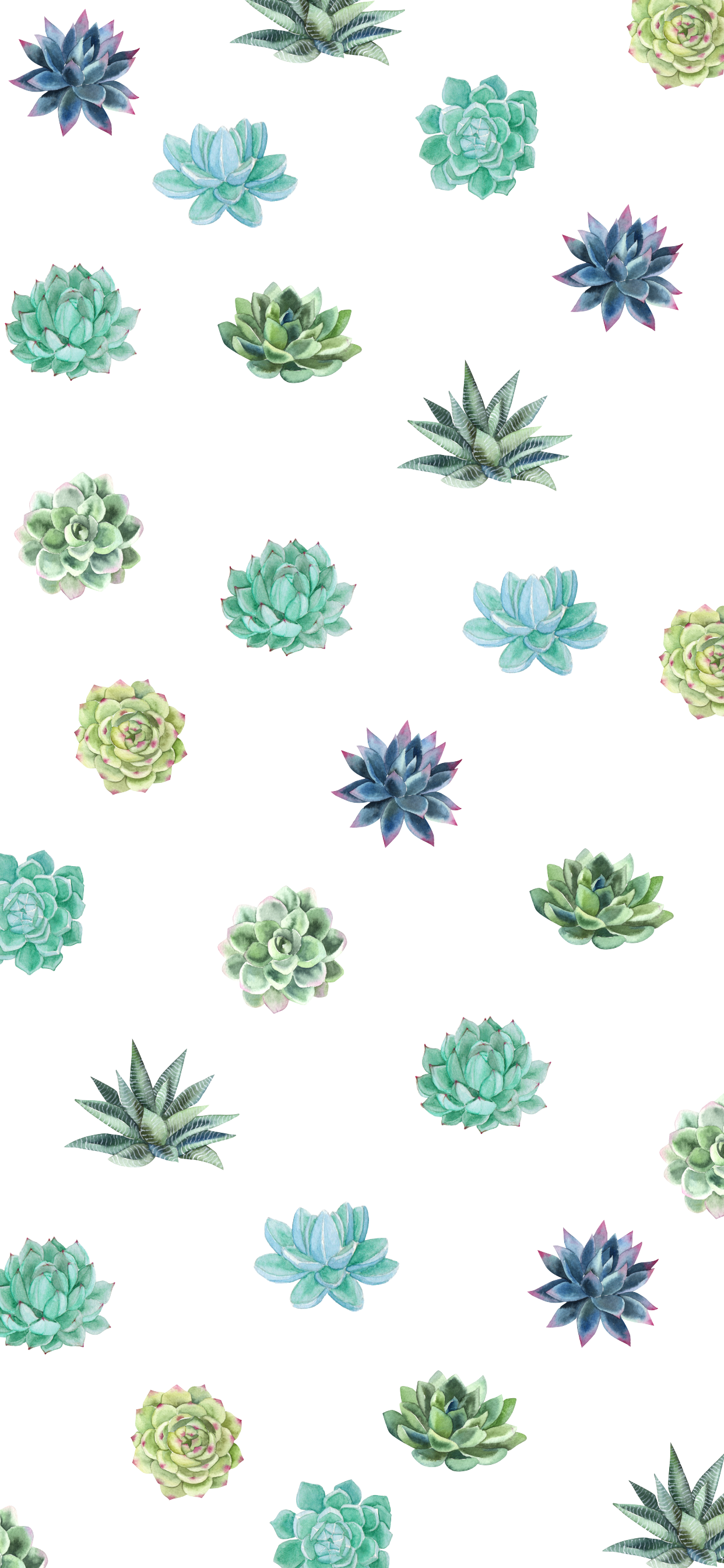 Aesthetic Succulents Wallpapers