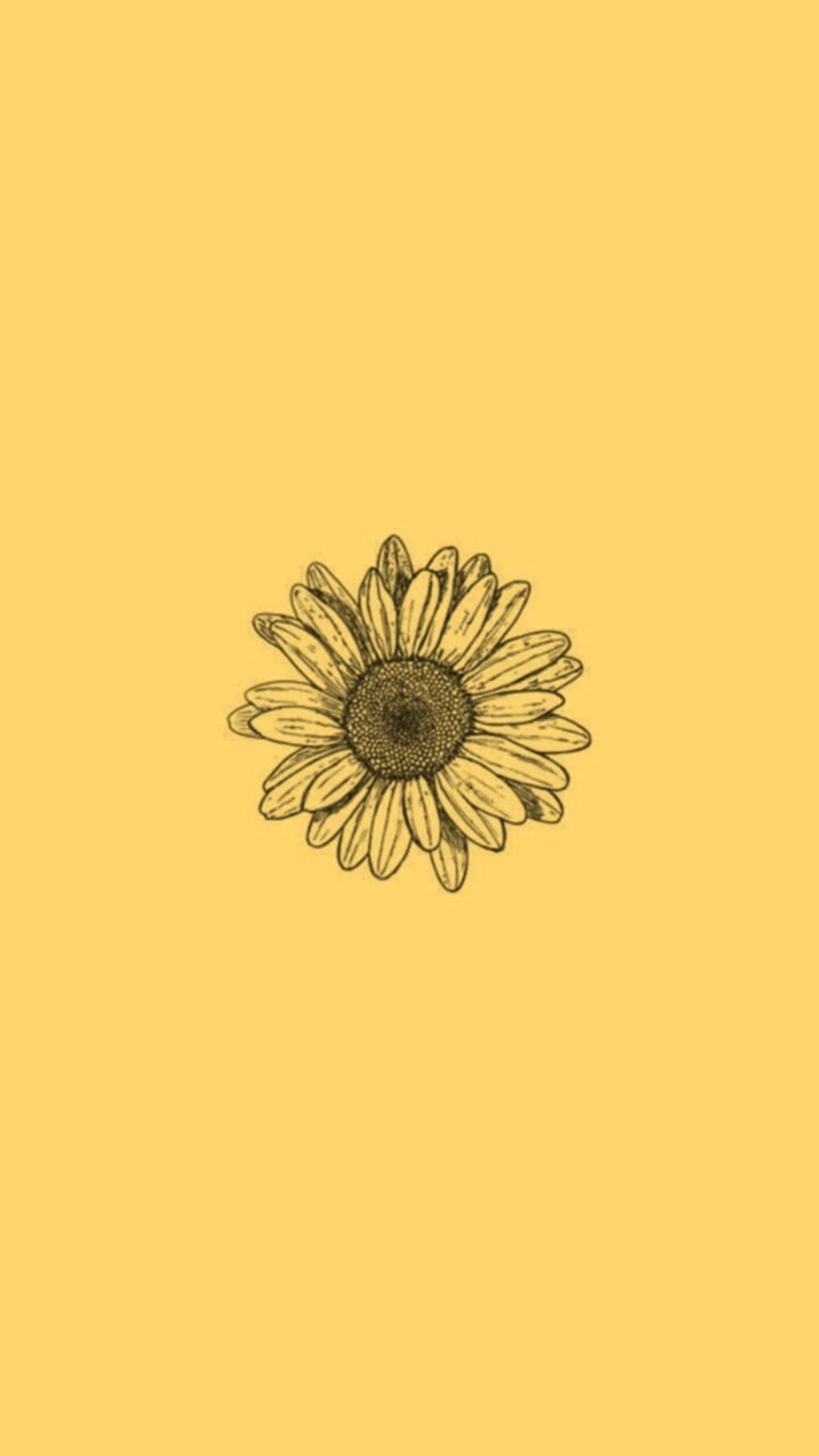 Aesthetic Sunflower Wallpapers