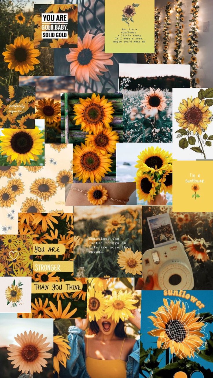 Aesthetic Sunflower Wallpapers