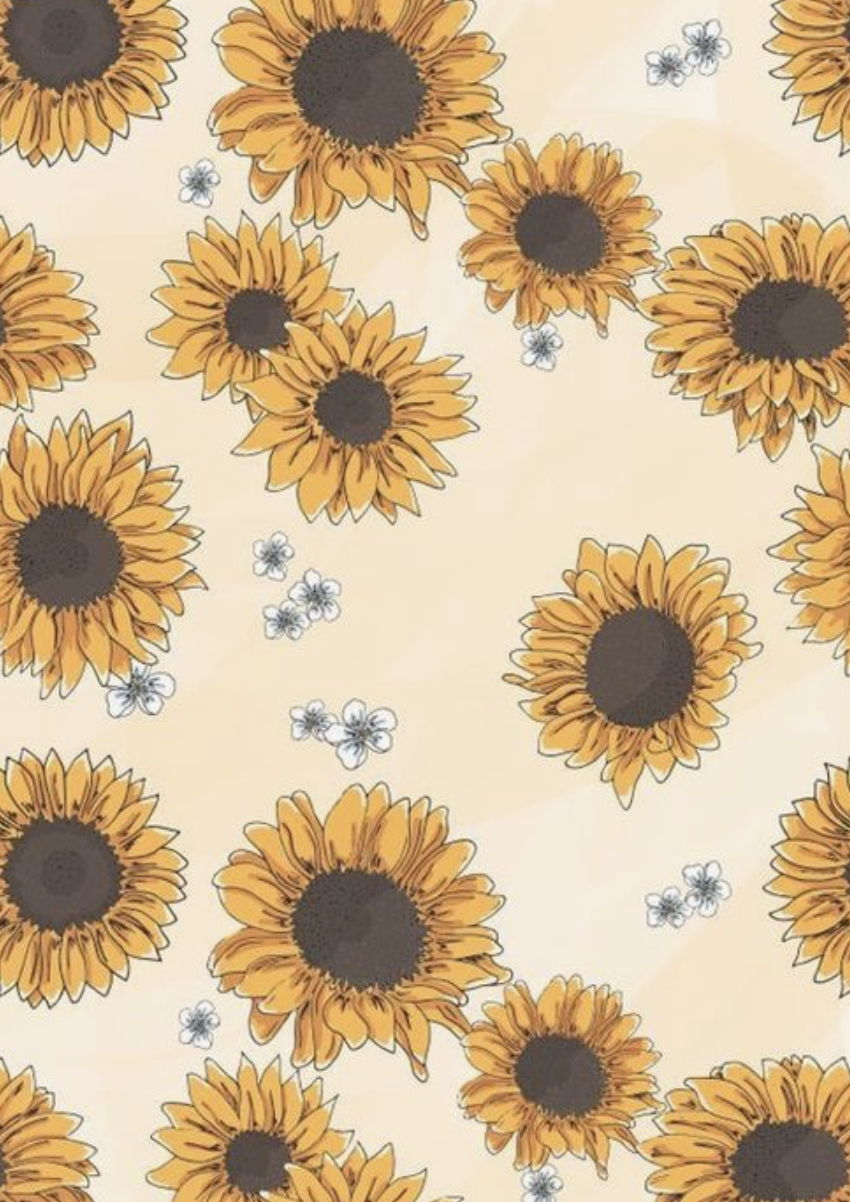 Aesthetic Sunflower Drawing Wallpapers