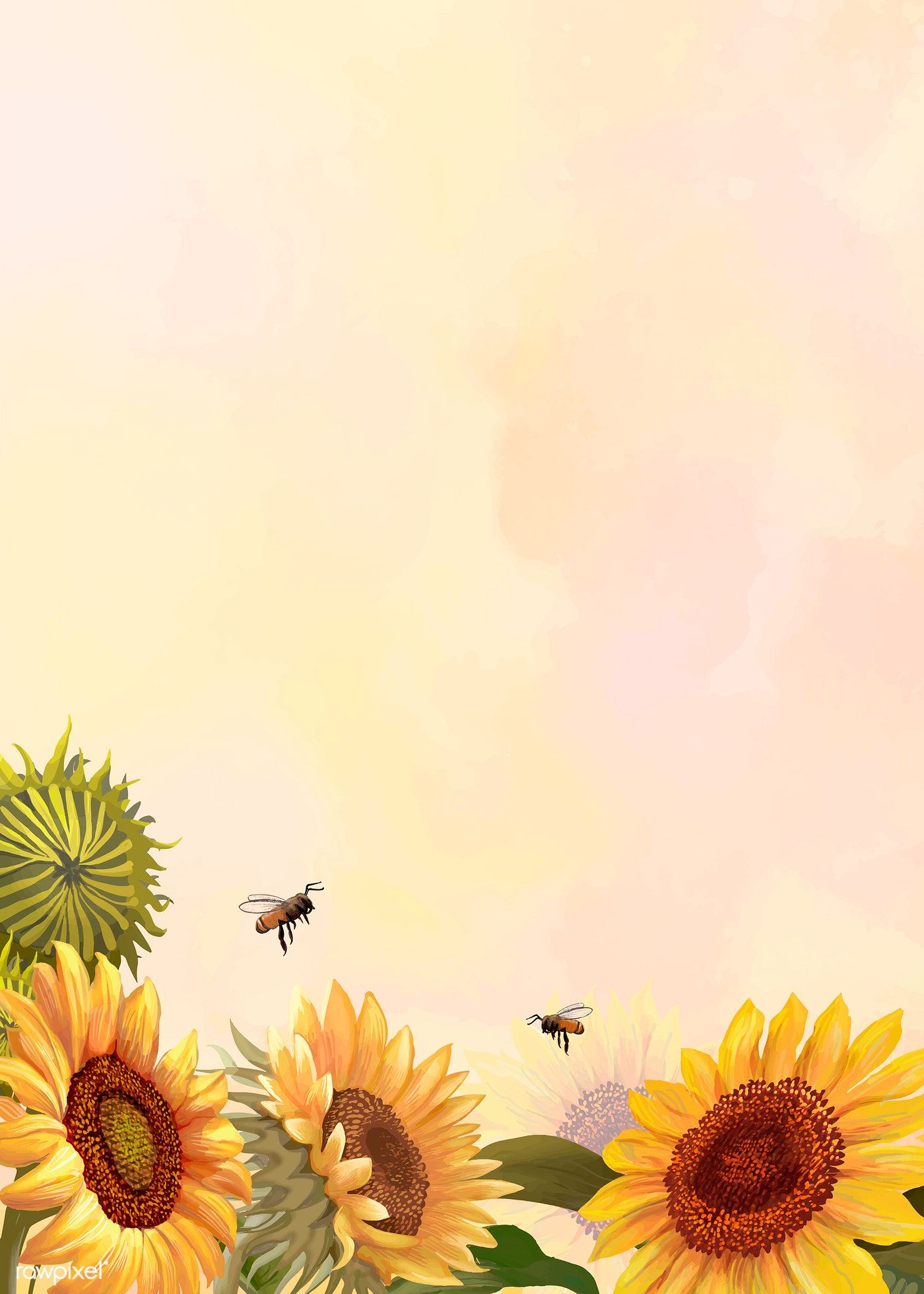 Aesthetic Sunflower Drawing Wallpapers