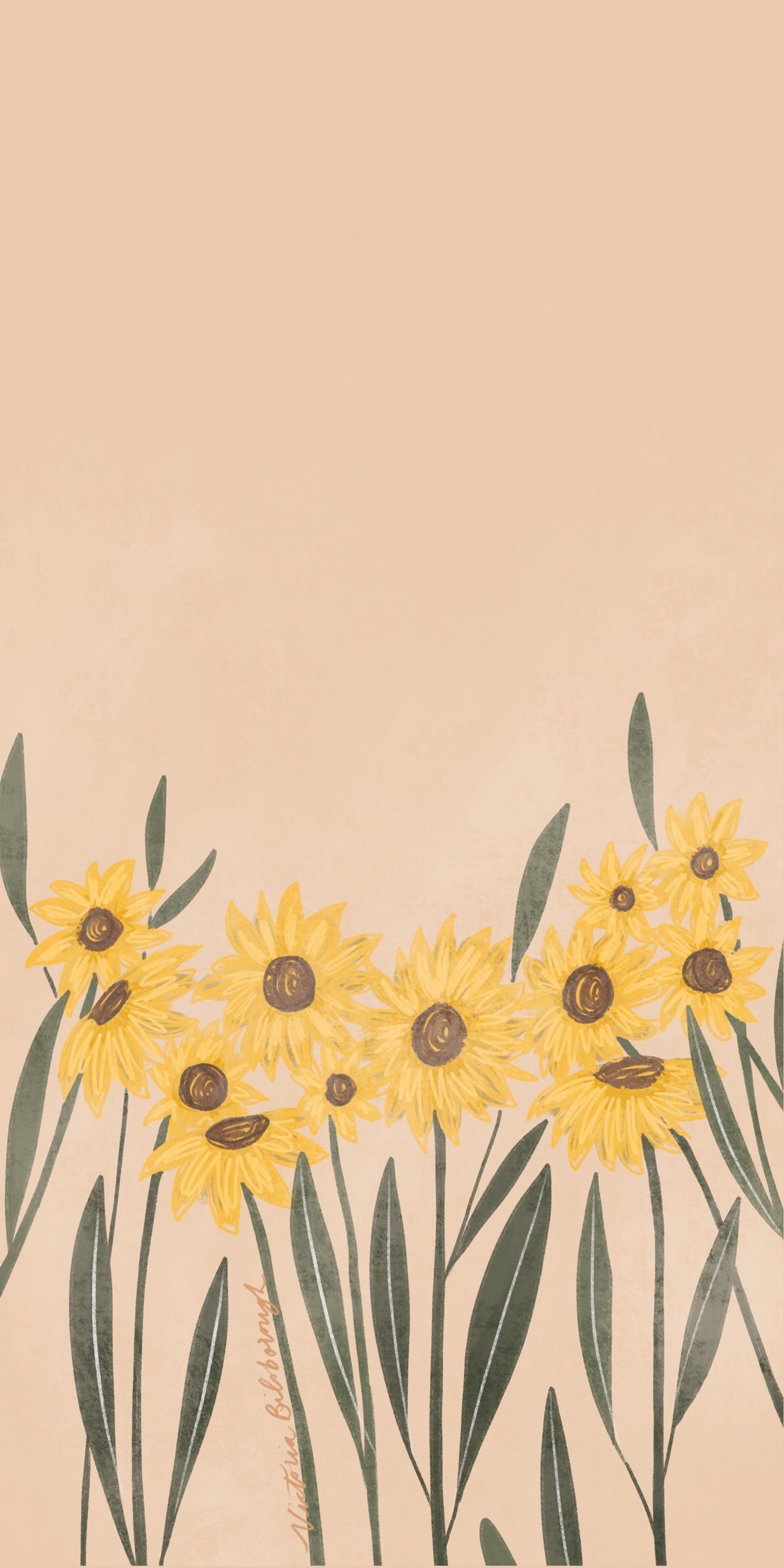 Aesthetic Sunflower Drawing Wallpapers