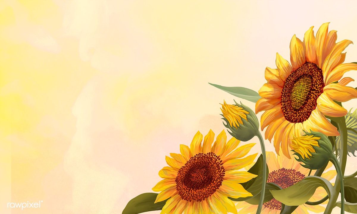 Aesthetic Sunflower Drawing Wallpapers