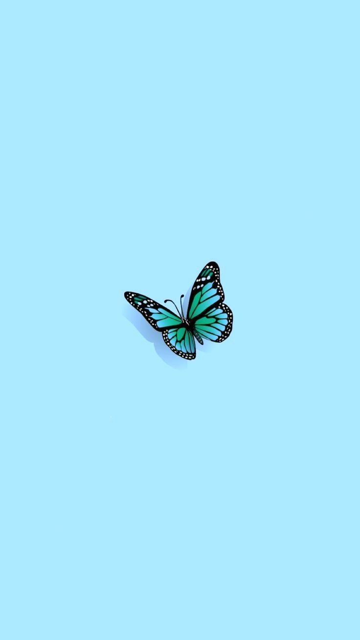 Aesthetic Teal Wallpapers