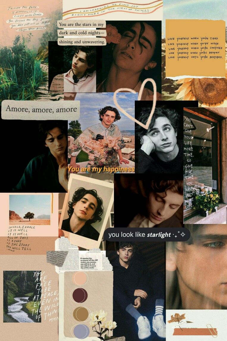 Aesthetic Timothee Chalamet Wallpapers