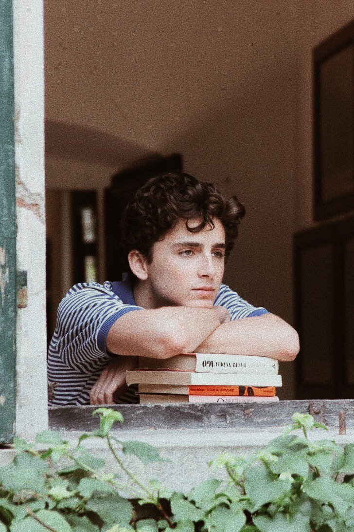 Aesthetic Timothee Chalamet Wallpapers