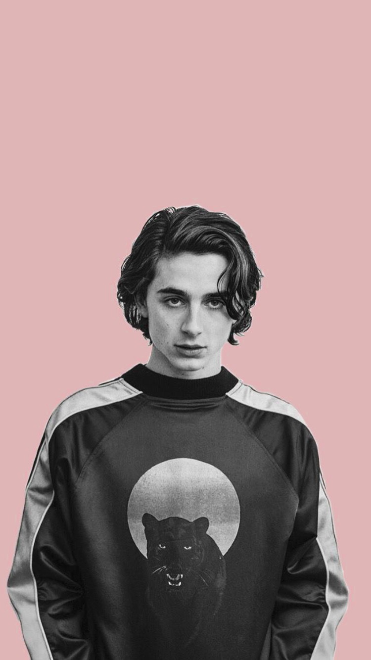 Aesthetic Timothee Chalamet Wallpapers