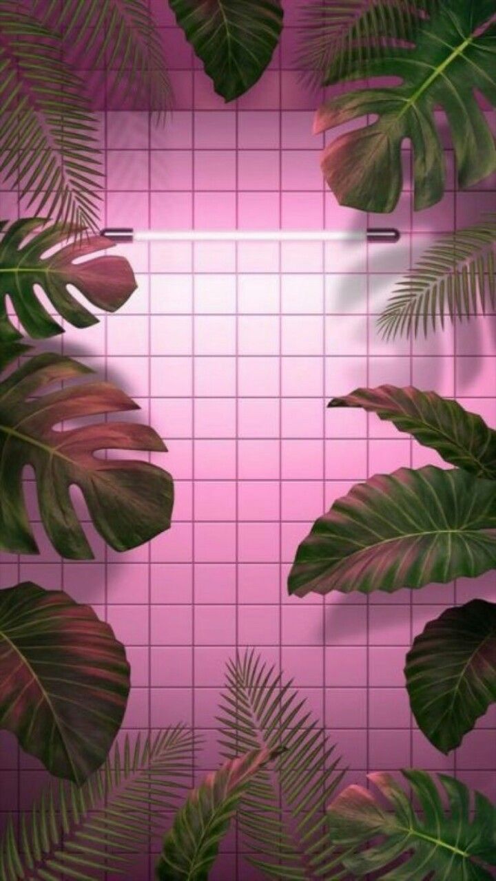 Aesthetic Tropical Wallpapers