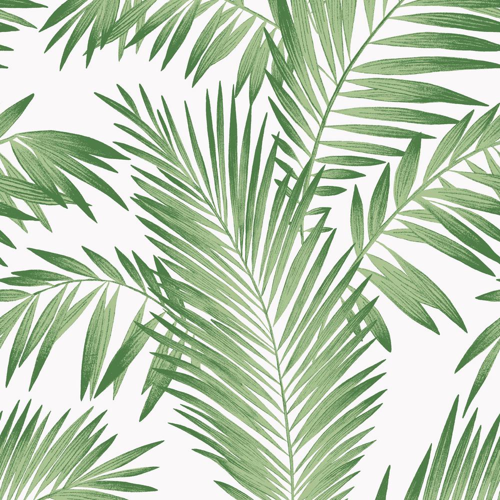Aesthetic Tropical Leaves Wallpapers
