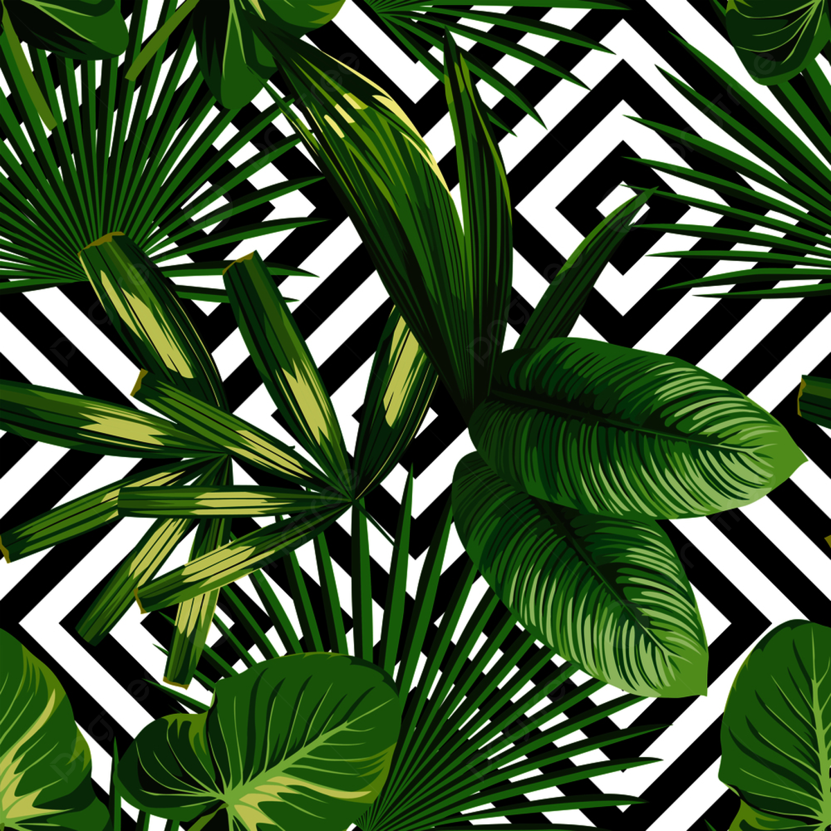 Aesthetic Tropical Leaves Wallpapers