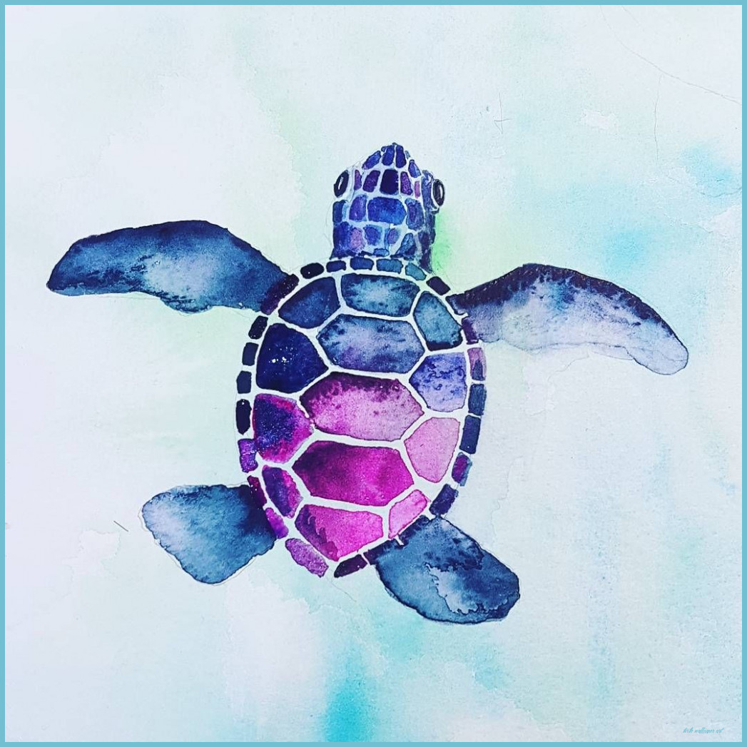 Aesthetic Turtle Wallpapers