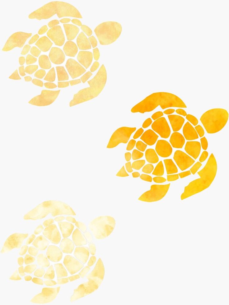 Aesthetic Turtle Wallpapers