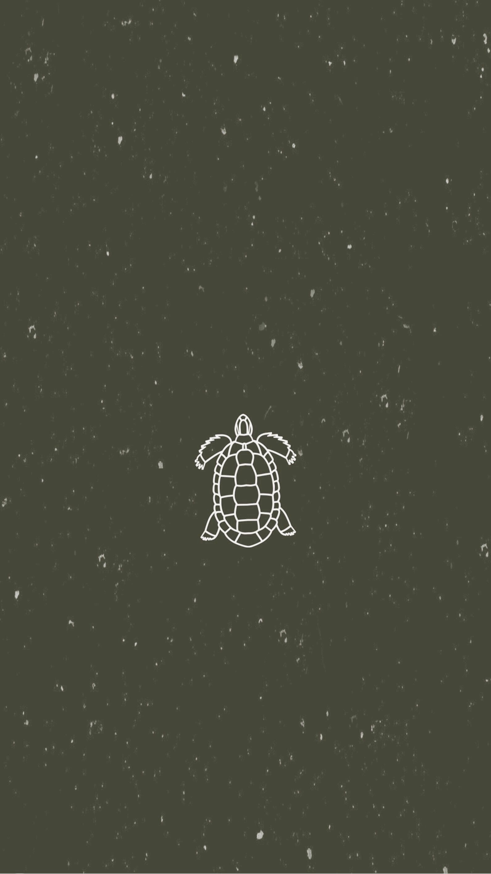 Aesthetic Turtle Wallpapers