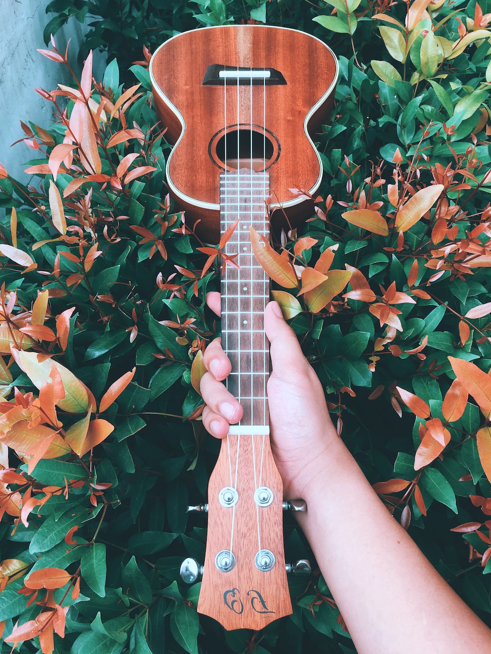 Aesthetic Ukuleles Wallpapers