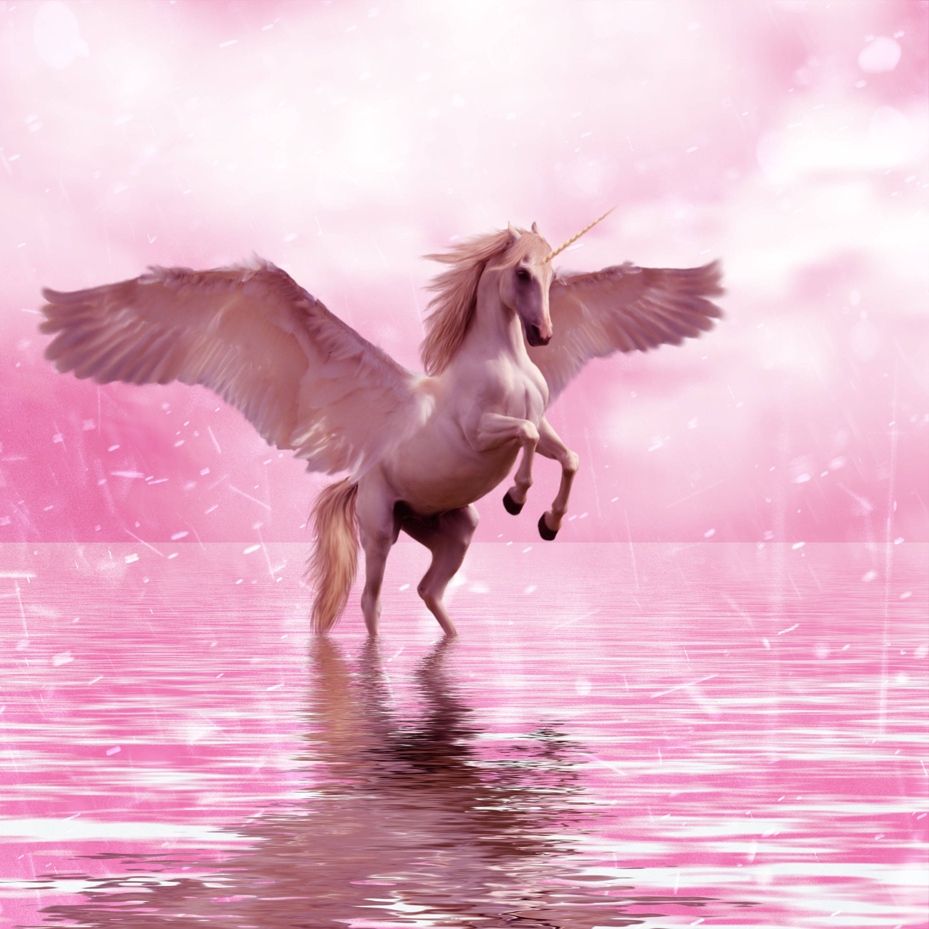 Aesthetic Unicorn Wallpapers