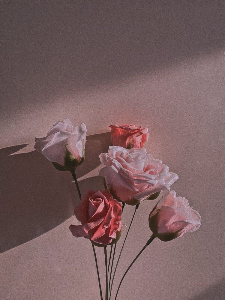 Aesthetics Flower Grunge Wallpapers