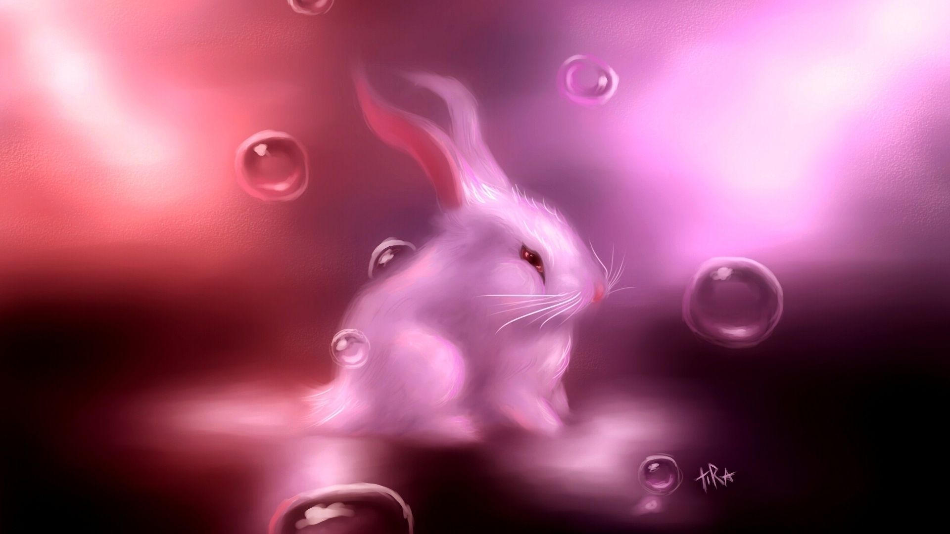 3D Bunny Wallpapers