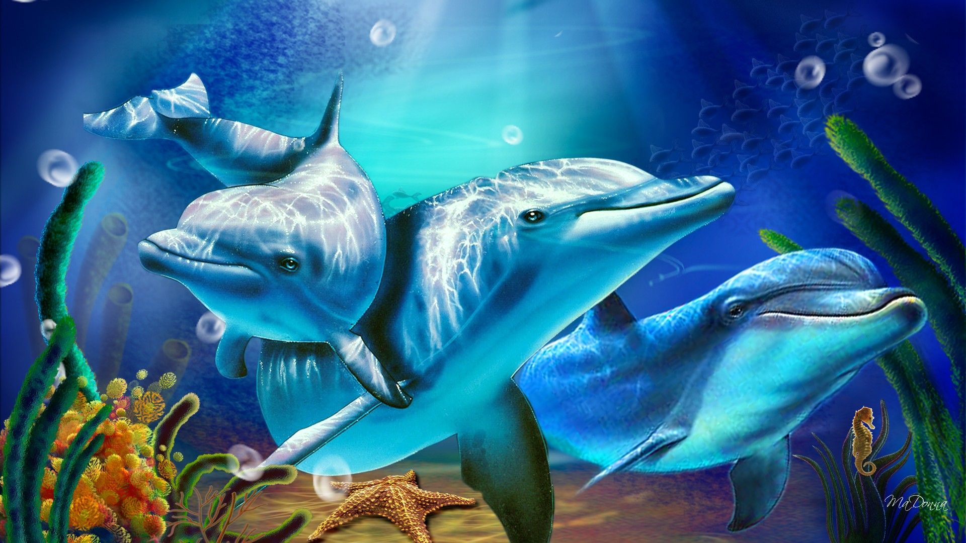 3D Dolphin Wallpapers