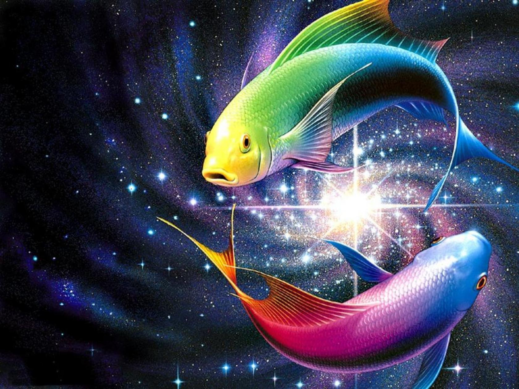 3D Fish Desktop Wallpapers